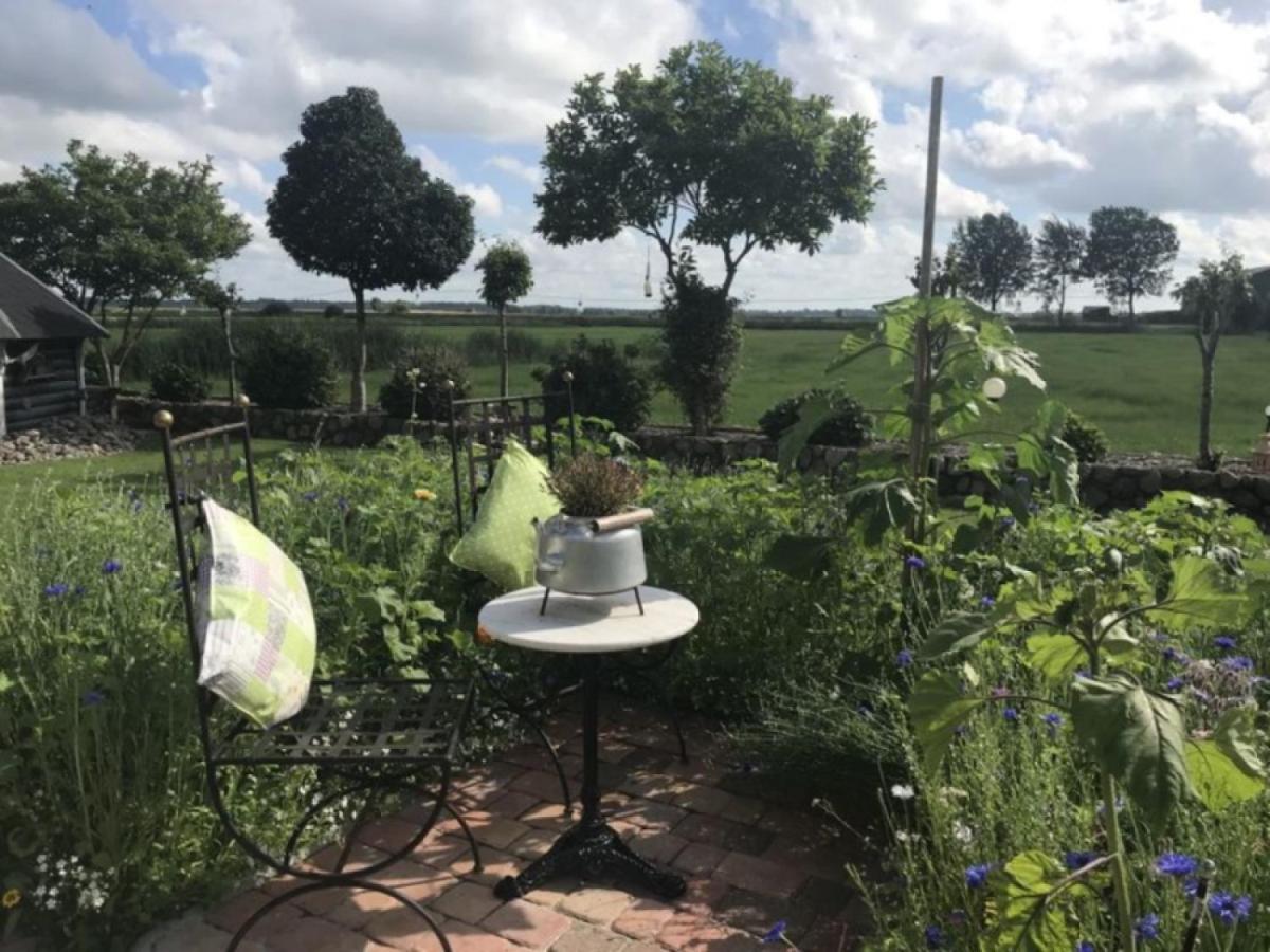 5-Sterne Ferienwohnung-Treeneblick Schwabstedt Exterior foto
